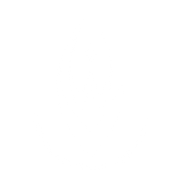 Voice of the Womb